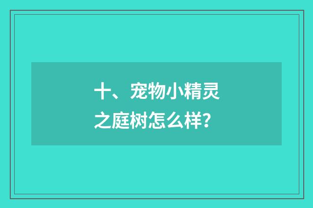 十、宠物小精灵之庭树怎么样?