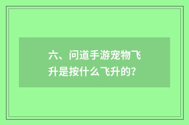 六、问道手游宠物飞升是按什么飞升的?