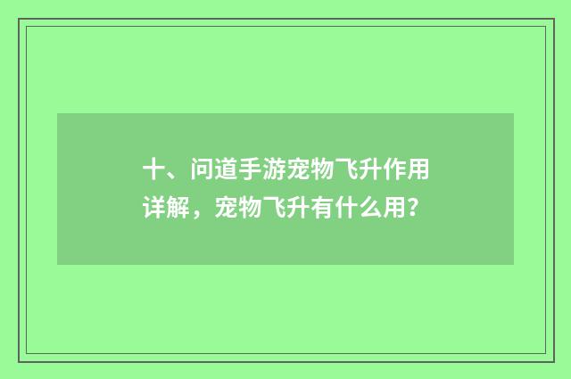 十、问道手游宠物飞升作用详解,宠物飞升有什么用?