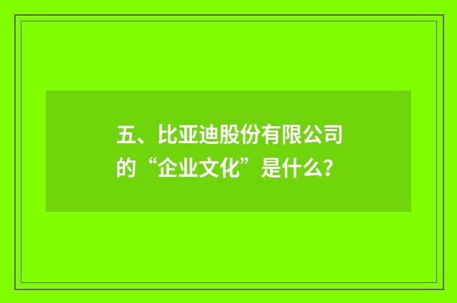 五、比亚迪股份有限公司的“企业文化”是什么?