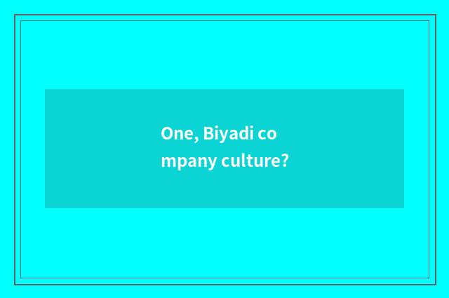 One, Biyadi company culture?