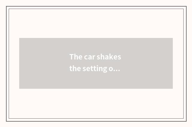 The car shakes the setting of order system
