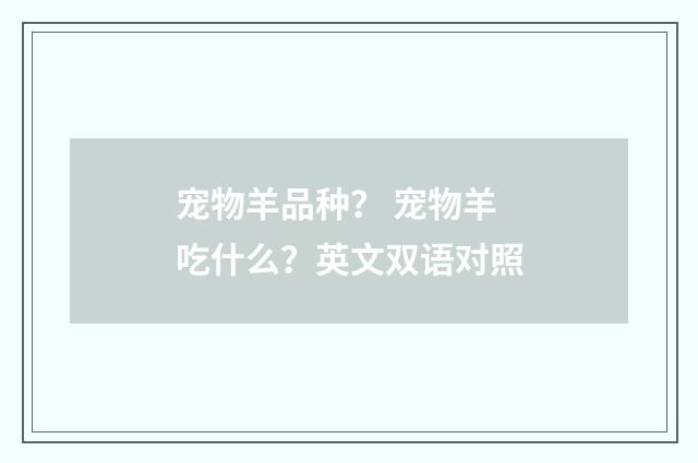 宠物羊品种? 宠物羊吃什么?英文双语对照