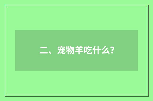 二、宠物羊吃什么?