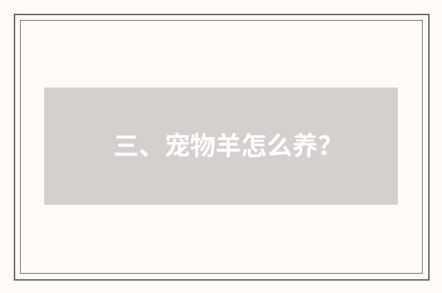 三、宠物羊怎么养?
