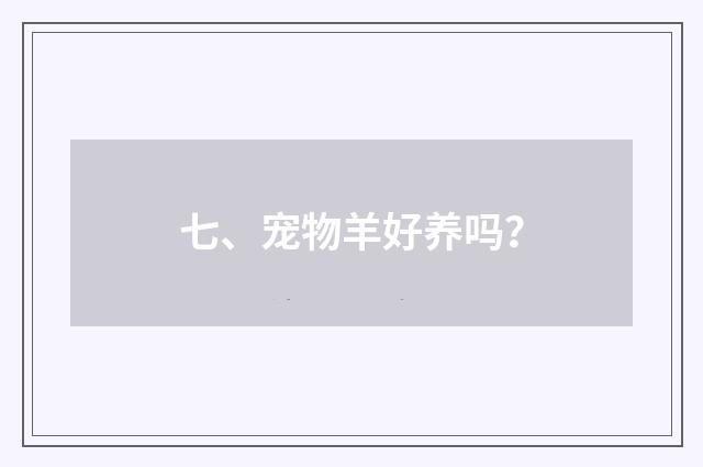 七、宠物羊好养吗?