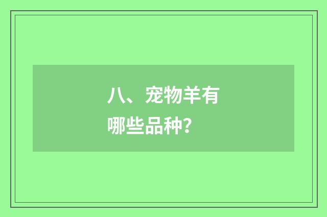 八、宠物羊有哪些品种？