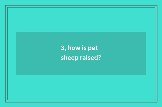 3, how is pet sheep raised?