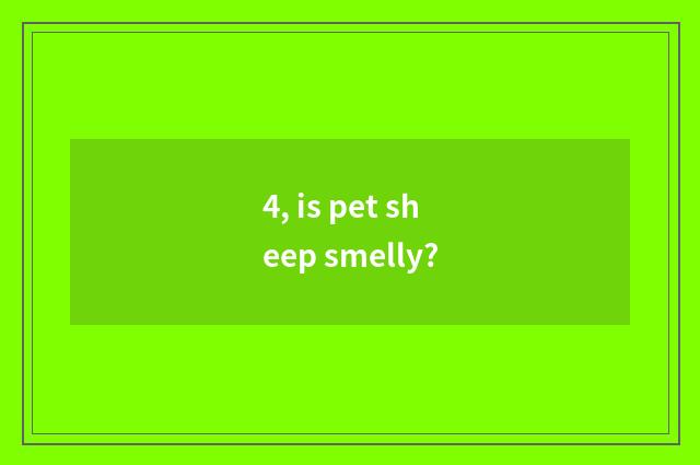 4, is pet sheep smelly?