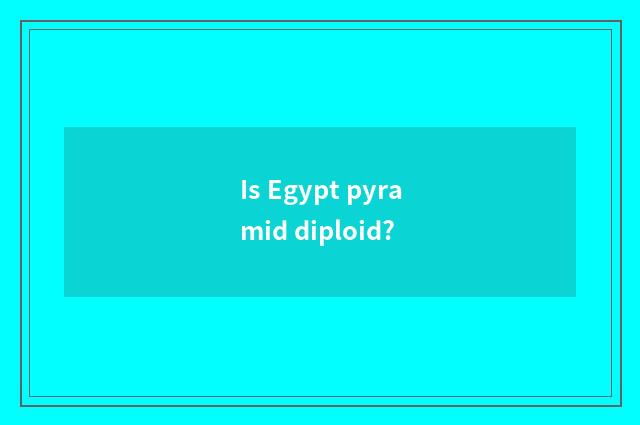 Is Egypt pyramid diploid?