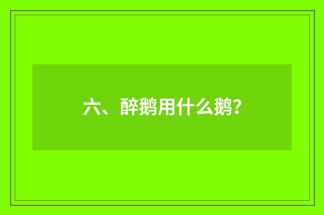六、醉鹅用什么鹅?