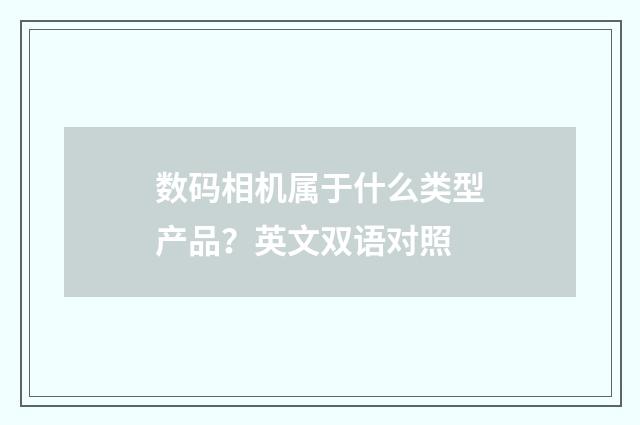 数码相机属于什么类型产品?英文双语对照