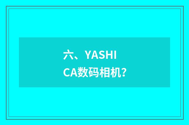 六、YASHICA数码相机？