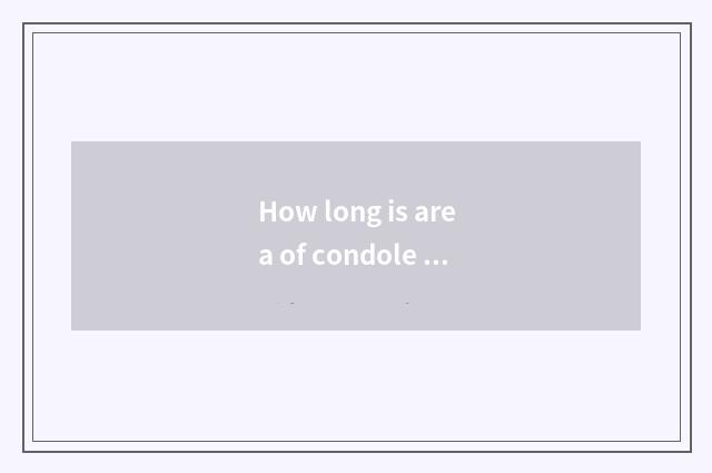 How long is area of condole of skirt of condole belt length nice?