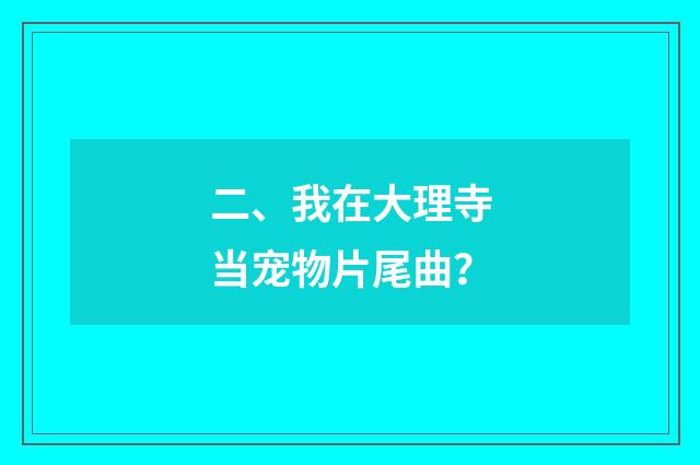 二、我在大理寺当宠物片尾曲?
