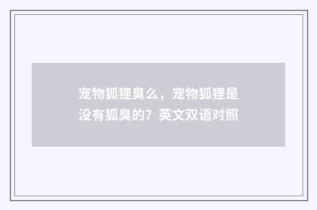 宠物狐狸臭么,宠物狐狸是没有狐臭的?英文双语对照