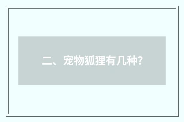 二、宠物狐狸有几种?