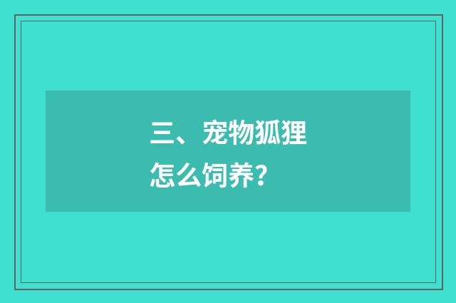 三、宠物狐狸怎么饲养？