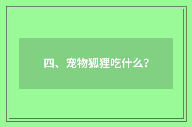 四、宠物狐狸吃什么?