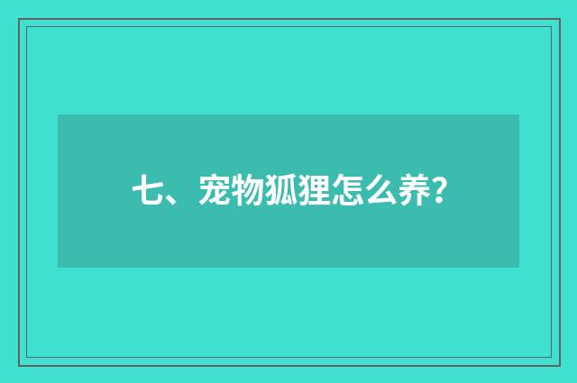 七、宠物狐狸怎么养?