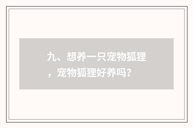 九、想养一只宠物狐狸，宠物狐狸好养吗？