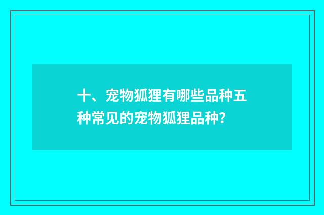 十、宠物狐狸有哪些品种五种常见的宠物狐狸品种?