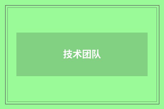 技术团队