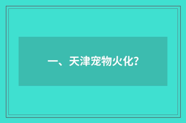 一、天津宠物火化?