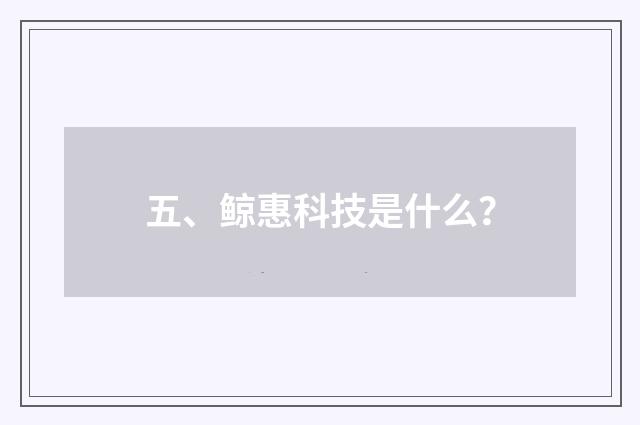 五、鲸惠科技是什么？