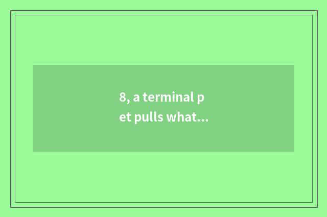8, a terminal pet pulls what euthanasia serves from the home?