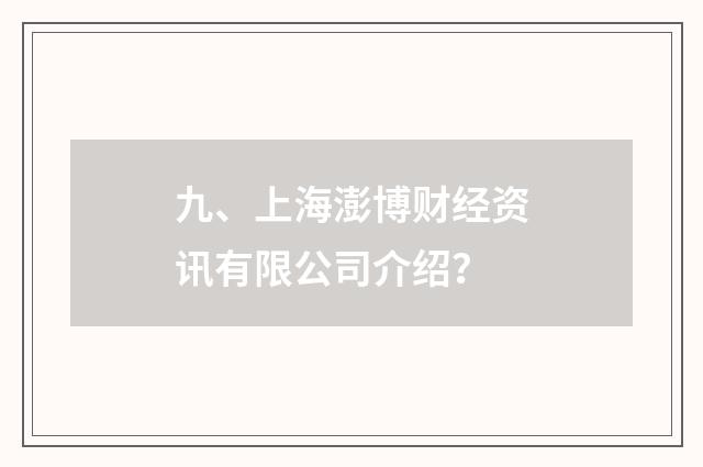 九、上海澎博财经资讯有限公司介绍?
