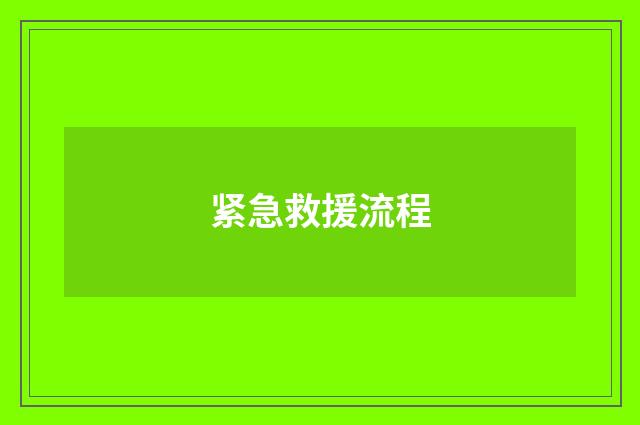 紧急救援流程