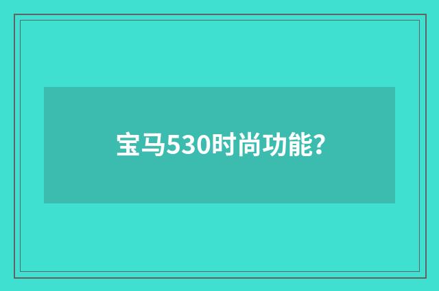 宝马530时尚功能？