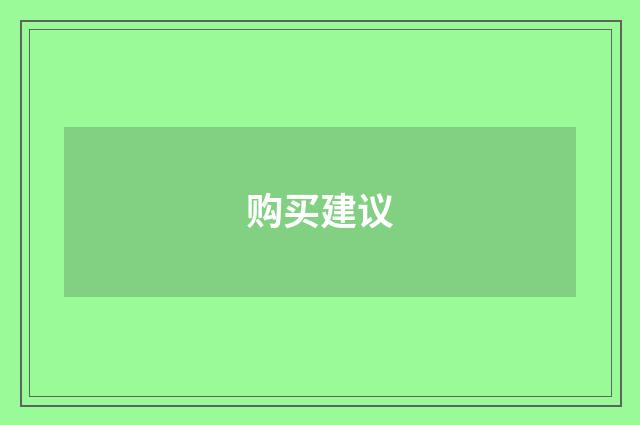 购买建议