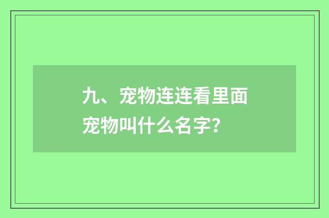 九、宠物连连看里面宠物叫什么名字?