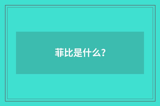 菲比是什么?