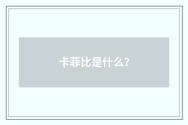 卡菲比是什么？