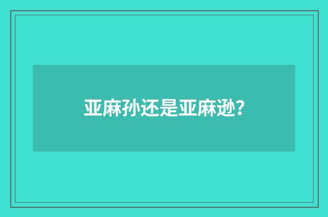 亚麻孙还是亚麻逊?