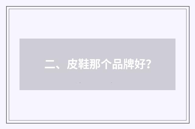 二、皮鞋那个品牌好?