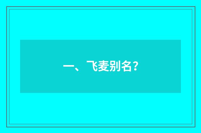 一、飞麦别名？