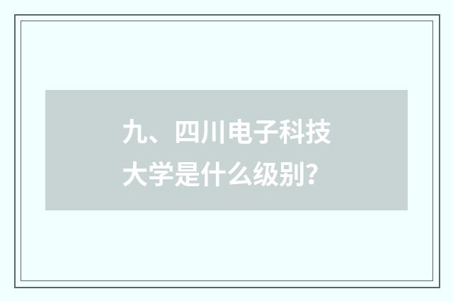 九、四川电子科技大学是什么级别?