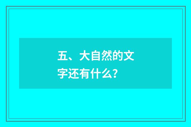 五、大自然的文字还有什么?
