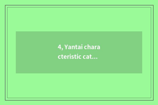 4, Yantai characteristic cate?