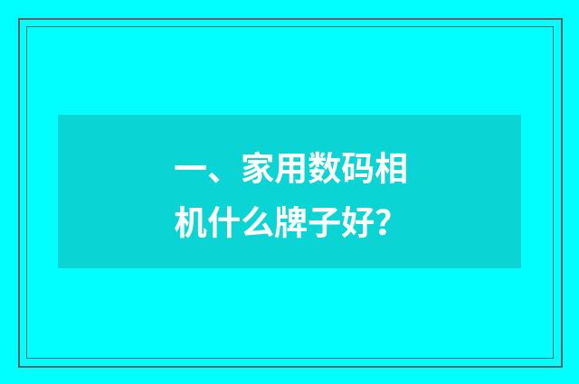 一、家用数码相机什么牌子好？