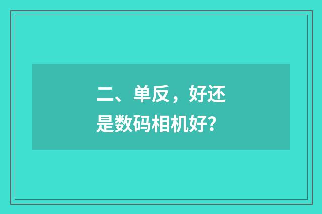 二、单反,好还是数码相机好?