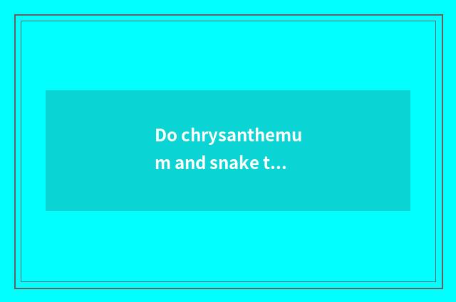 Do chrysanthemum and snake tattoo the skin the implied meaning?
