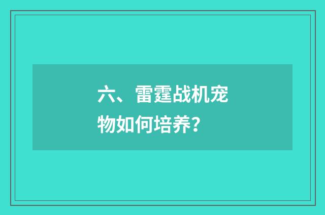 六、雷霆战机宠物如何培养?
