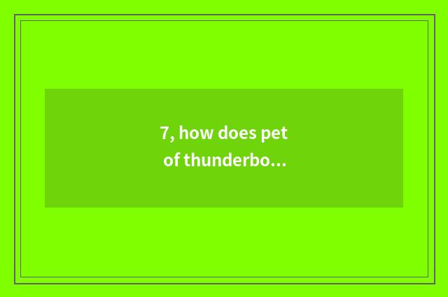 7, how does pet of thunderbolt opportunity for combat classification does epic H