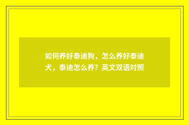 如何养好泰迪狗,怎么养好泰迪犬,泰迪怎么养?英文双语对照