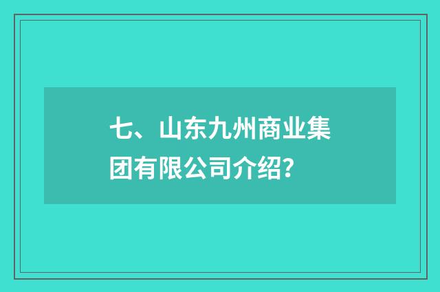 七、山东九州商业集团有限公司介绍？